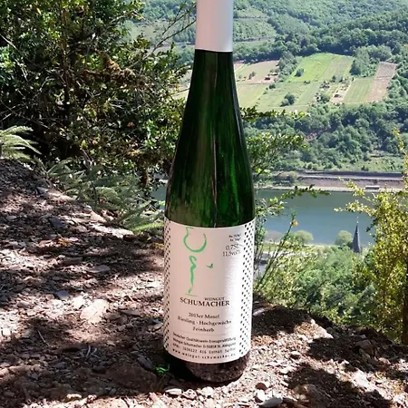 Weingut Schumacher Sankt Aldegund Exterior foto