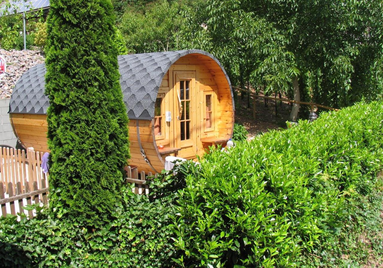 Weingut Schumacher Apartment